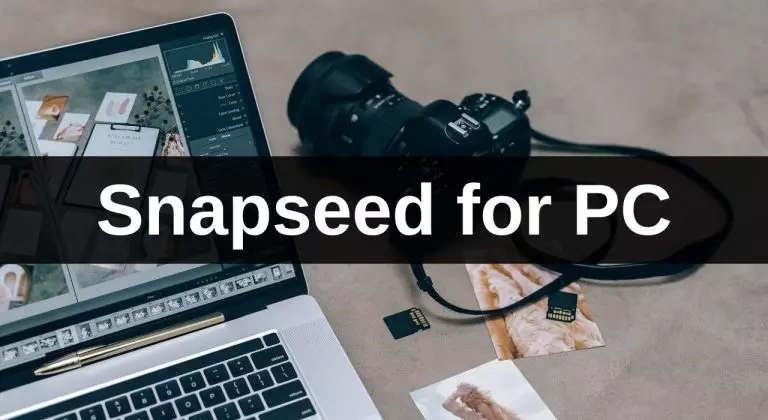 Snapseed for PC: How to Edit Your Photos Like a Pro